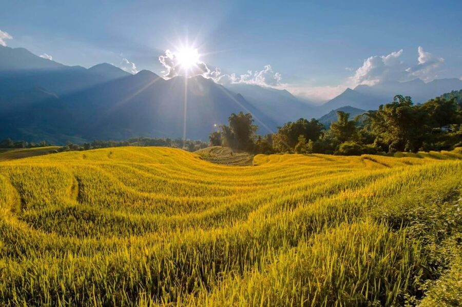 From Sapa: 1-Day Guided Trek to Lao Chai & Ta Van with Lunch - What to pack for Sapa weather (so the day stays fun)