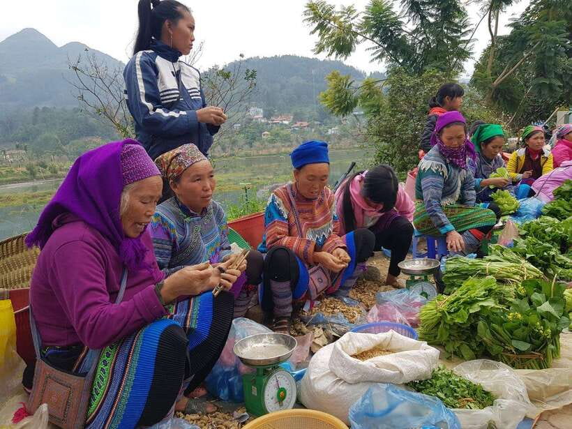 From Sapa: 1D Local Bac Ha Sunday Market Tour - Best seller - The pacing trade-off, plus how to make the most of the day