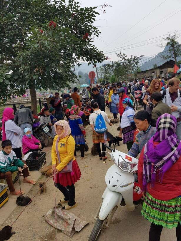 From Sapa: 1D Local Bac Ha Sunday Market Tour - Best seller - Lunch in a small mountain town, what to expect