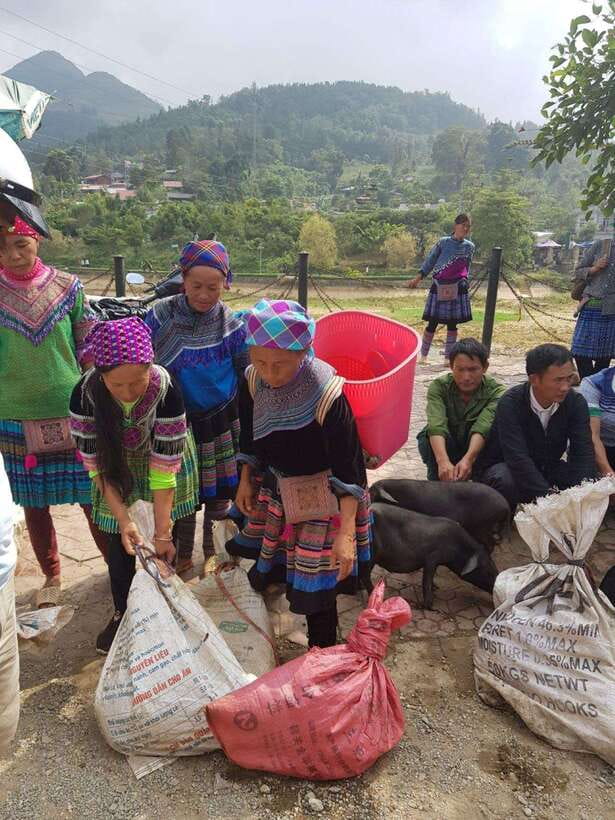 From Sapa: 1D Local Bac Ha Sunday Market Tour - Best seller - Price and value at $35, what you’re paying for