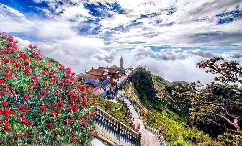From Sapa:Cable Car Ticket To Fansipan Legend & Car Transfer - Value Verdict: Convenience vs. Extra Costs