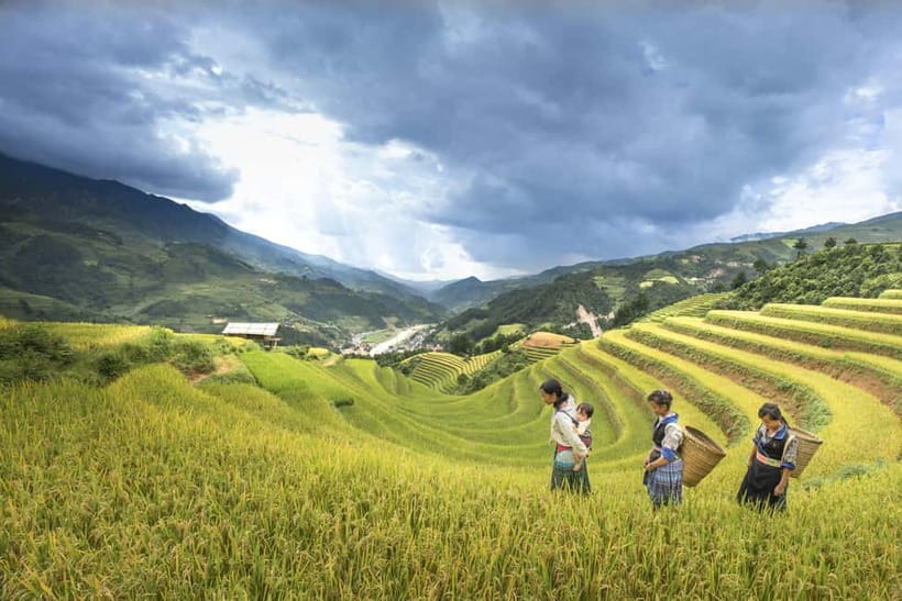 From Sapa Homestay Hideaway 2-Day Local Life Adventure - Ta Van homestay: cooking class, rice wine or tea, and a calmer night
