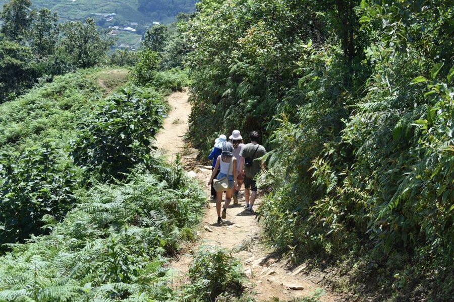 From Sapa: Muong Hoa Valley View & Village Trek 1-Day - Hang Da Village lunch with cliffside scenery and cloud-chasing potential