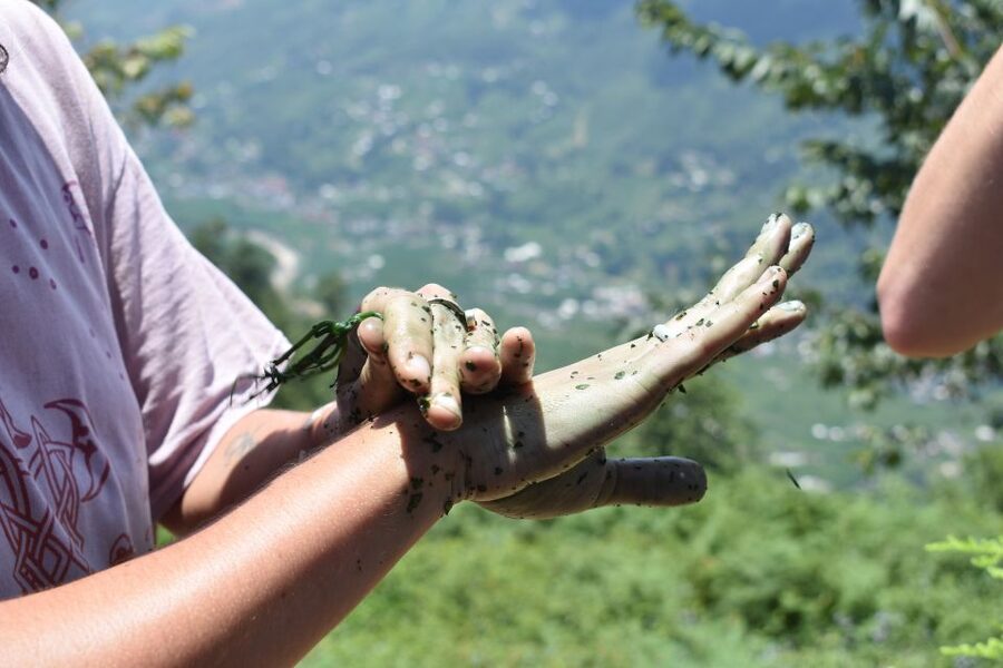 From Sapa: Muong Hoa Valley View & Village Trek 1-Day - Hau Thao rice fields, bamboo forest, and the sea of white clouds