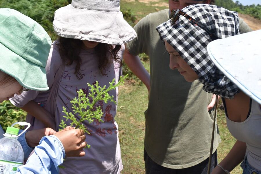 From Sapa: Muong Hoa Valley View & Village Trek 1-Day - Price and value, why $36 can work in Sapa