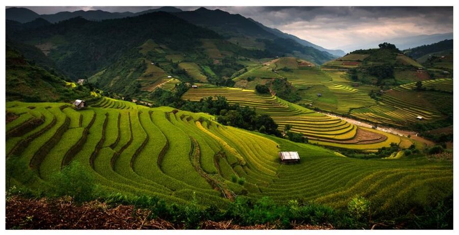 From Sapa: Terrace Fields and Local Villages Trek with Lunch - Why This 7-Hour Sapa Trek Feels Less Like a Bus Tour