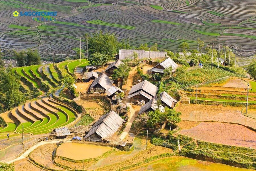 From Sapa: Terrace Fields and Local Villages Trek with Lunch - Sapa Terrace Fields: What You See and What It Means