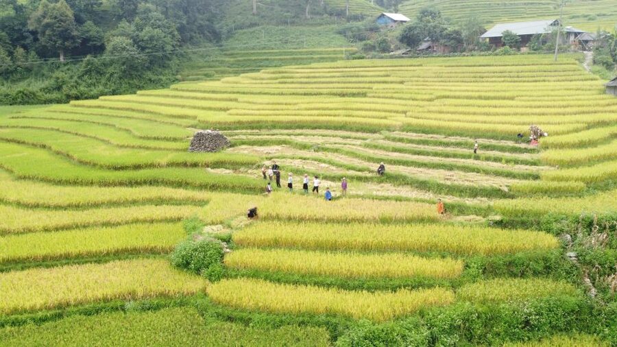 From Sapa: Terrace Fields and Local Villages Trek with Lunch - The Waterfall Stop, Footing Risks, and How to Stay Comfortable
