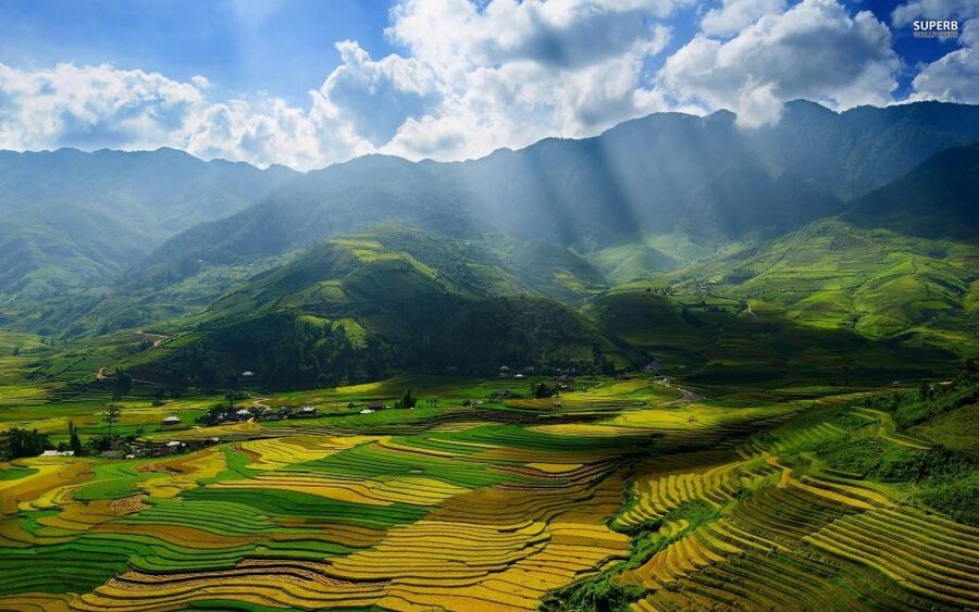 From Sapa: Terrace Fields and Local Villages Trek with Lunch - Lunch at a Local Restaurant With Real Sapa Flavor