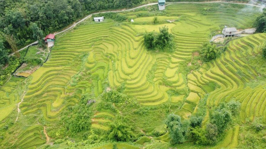 From Sapa: Terrace Fields and Local Villages Trek with Lunch - Price and Logistics: Why $22 Can Be Good Value