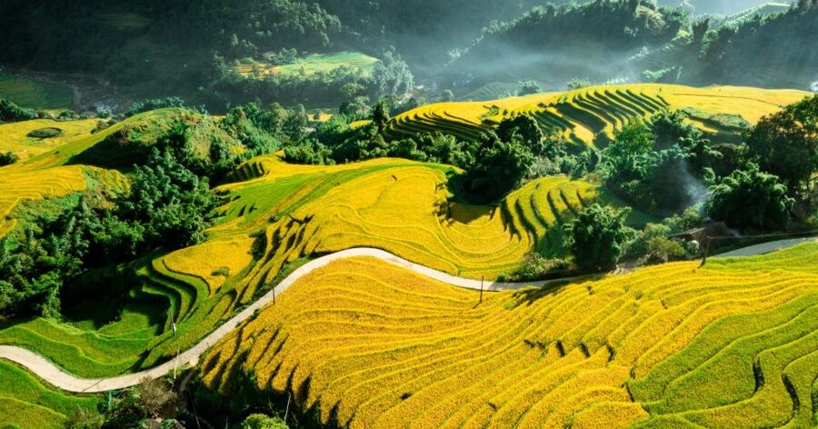 From Sapa: Terrace Fields and Local Villages Trek with Lunch - Who This Trek Suits Best (and Who Should Rethink It)