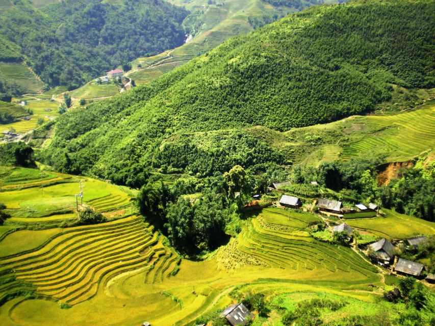 From Sapa: Terrace Fields and Local Villages Trek with Lunch - The Bottom Line: Should You Book This Sapa Terrace Trek With Lunch?