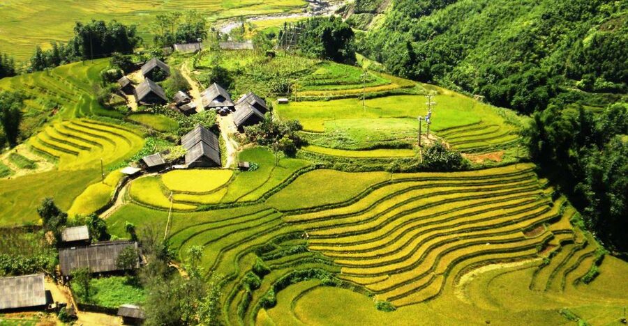 From Sapa: Terrace Fields and Local Villages Trek with Lunch - Door-to-Door Pickup in Sapa Town, Then Into the Working Fields