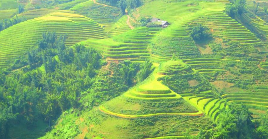 From Sapa: Waterfalls, Trekking and Tribal Villages Tour - Meeting the Hmong and Red Dzao: What you’re really learning on the trail