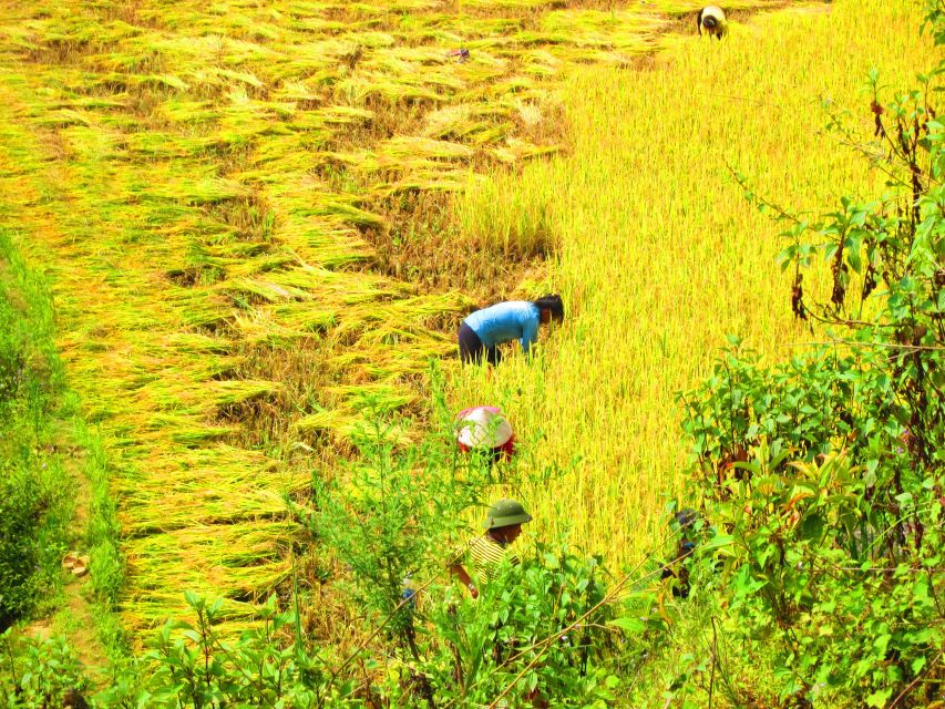 From Sapa: Waterfalls, Trekking and Tribal Villages Tour - Price and value: Is $72 a fair deal?