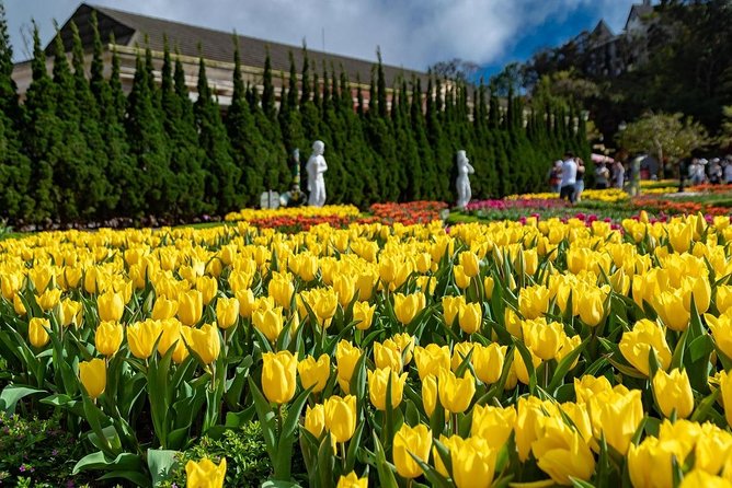 Full day Ba Na Hill with Cable Car and Lunch from Da Nang - Lunch and what you should budget beyond the included buffet