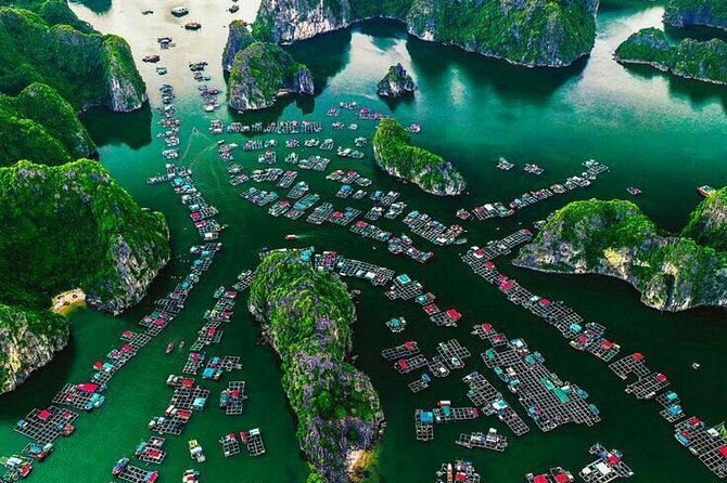 Full Day Boat Tour in Halong Bay, Cat Ba Archipelago & Lan Ha Bay - Lan Ha Bay Boat Time: Quiet Water, Fishing Boats, and Kayaking