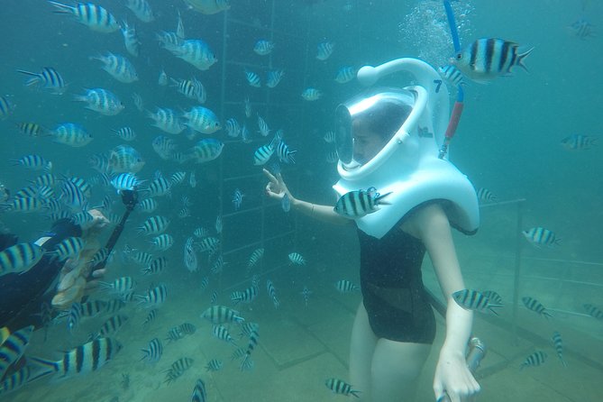 Full-day Cham Islands Cruise from Hoi An with Underwater Walking Excursion - Why This Cham Islands Day Tour Feels Different From a Typical Trip