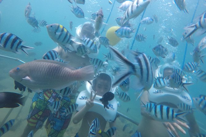 Full-day Cham Islands Cruise from Hoi An with Underwater Walking Excursion - The Boat Ride to Cham Islands: Hon Nhon Area and the Comfort Trade-Off