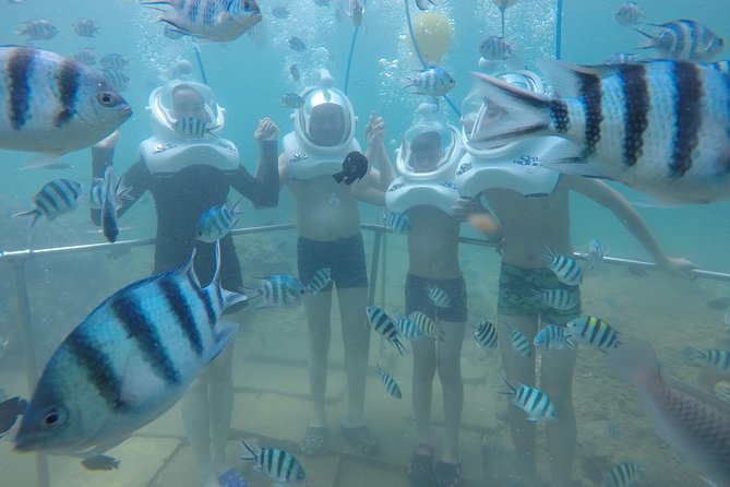 Full-day Cham Islands Cruise from Hoi An with Underwater Walking Excursion - Guides, Equipment, and the Safety Layer You Don’t See