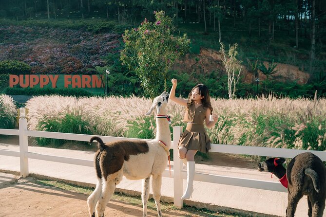 Full-Day Highlight of Da Lat –The famous tourist attractions 2025 - Key highlights to know before you go