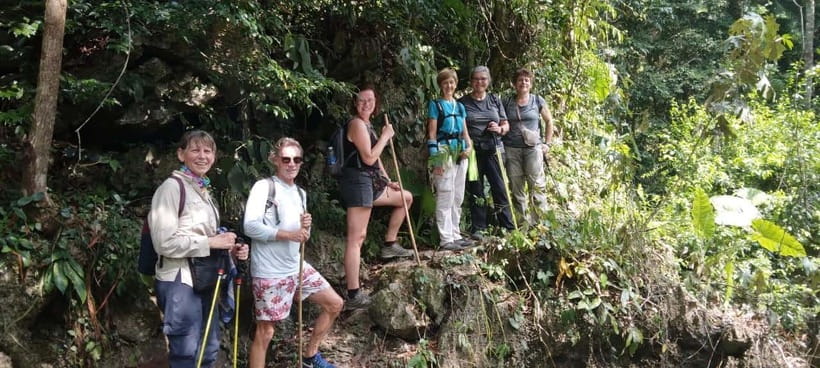 Full day hike - climbing in Jungle of Cat Ba National park - Why this Cat Ba jungle-to-bay day works so well
