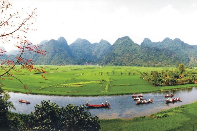 Full Day Tour to Perfume Pagoda with Traditional Boat Ride - Should You Book It?