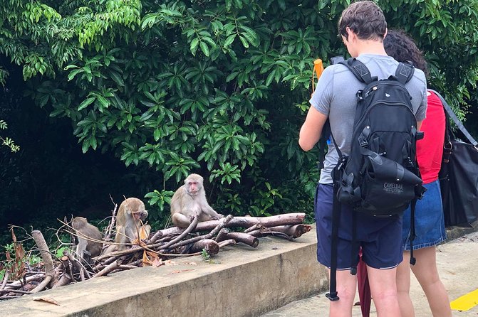 Golden Bridge, Monkey Mt, Marble – Private Car (EN Driver) - Son Tra Mountain (Monkey Mountain): quick scenic reset with free admission