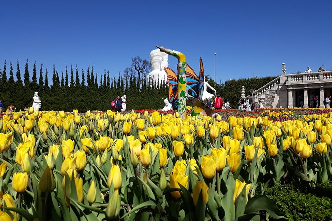 Golden Hand Bridge And Ba Na Hills tour from Hoi An/ Da Nang - Guide quality can change your whole day