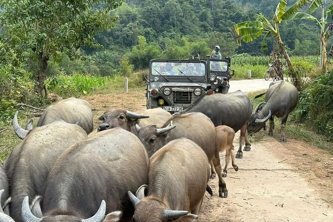 Ha Giang Jeep Tours: 3 Day 4WD + Hiking + Cruising Adventures - Day 3: Meo Vac morning exploring and how to keep the pace easy