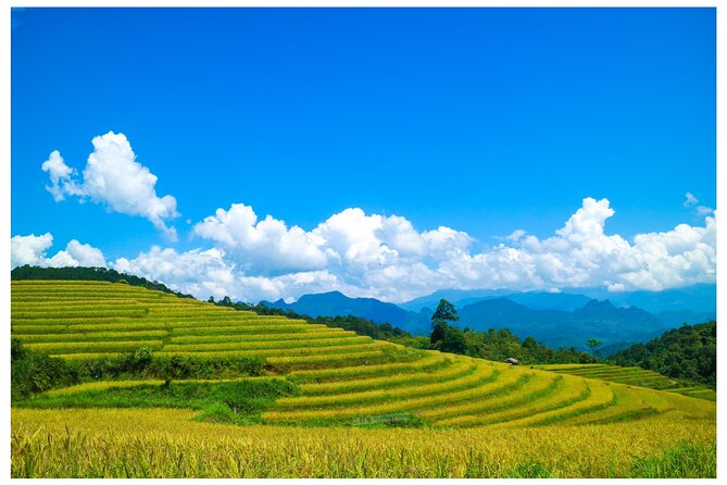 Ha Giang Loop 2D/1N Private Room + Free Dorm Hotel 1N before tour - Ha Giang Loop 2D/1N in plain terms, what you are buying