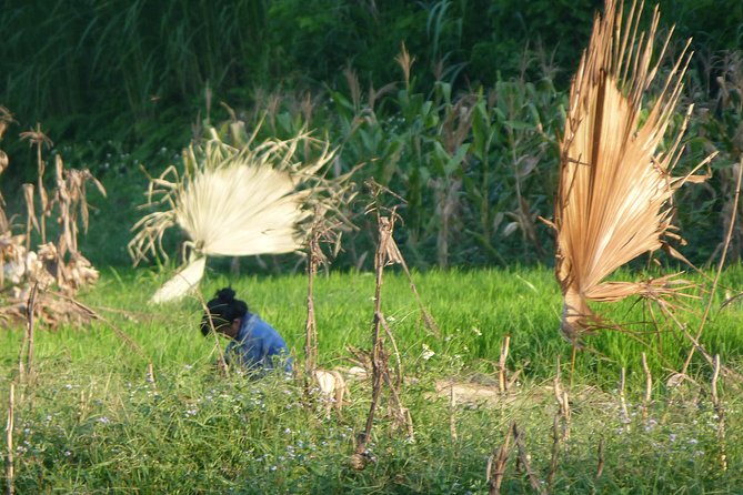 Ha Giang Trekker 2D2N - Key things I’d bet on before you go