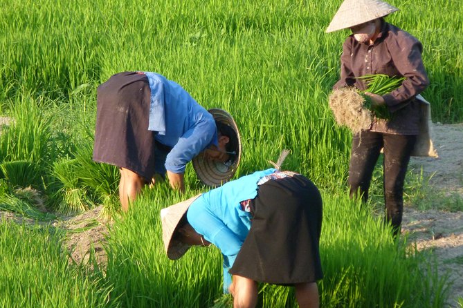 Ha Giang Trekker 2D2N - The homestay factor: traditional Tay home time, not a rushed stop