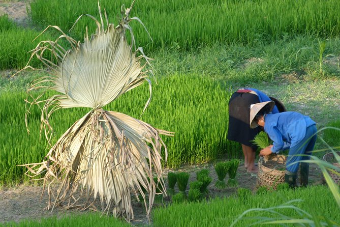 Ha Giang Trekker 2D2N - Who this tour suits best, and who should think twice
