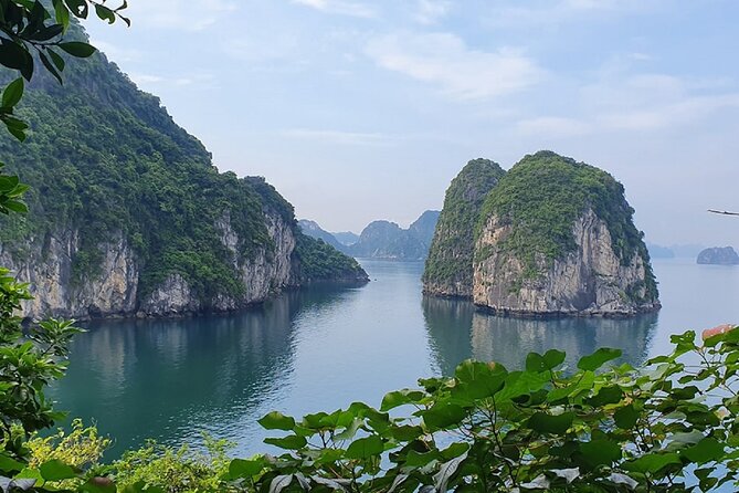 Ha Long Bay Cruise Day Tour - Cave, Kayaking, Swimming & Lunch - Luon Cave kayaking or a bamboo boat, both with time on the water