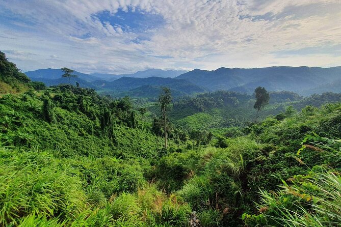 Hai Van pass private car tour from Hue-Da Nang-Hoi An (1Way|Loop) - Suoi Mo Waterfall: the cool reset in the forest