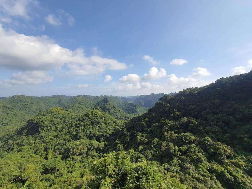 Half Day Hiking to Cat Ba National Park with a Guide - A Fast 4 Hours in Cat Ba, Built Around Caves and a Peak View