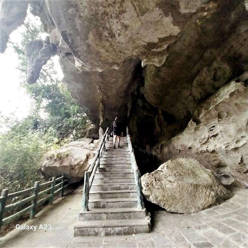 Half Day Hiking to Cat Ba National Park with a Guide - Price, Pace, and Who This Half-Day Hike Fits