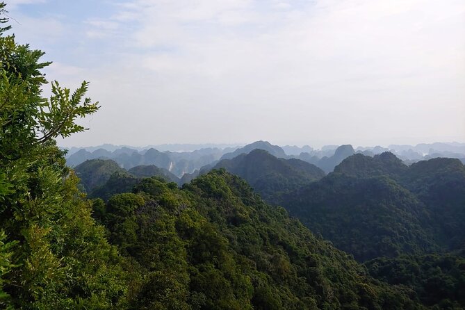Half Day Hiking to Discover Cat Ba National Park with a Guide - Key Highlights You’ll Feel Right Away