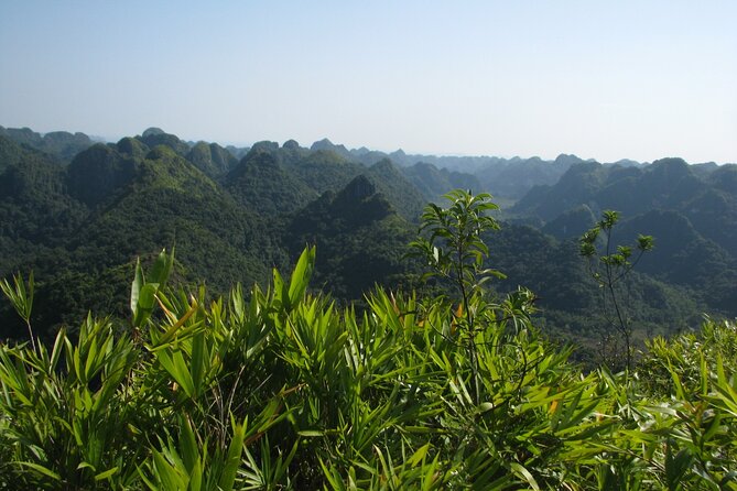 Half Day Hiking to Discover Cat Ba National Park with a Guide - Hospital Cave: A Wartime Mini Hospital Inside a 300m Cave