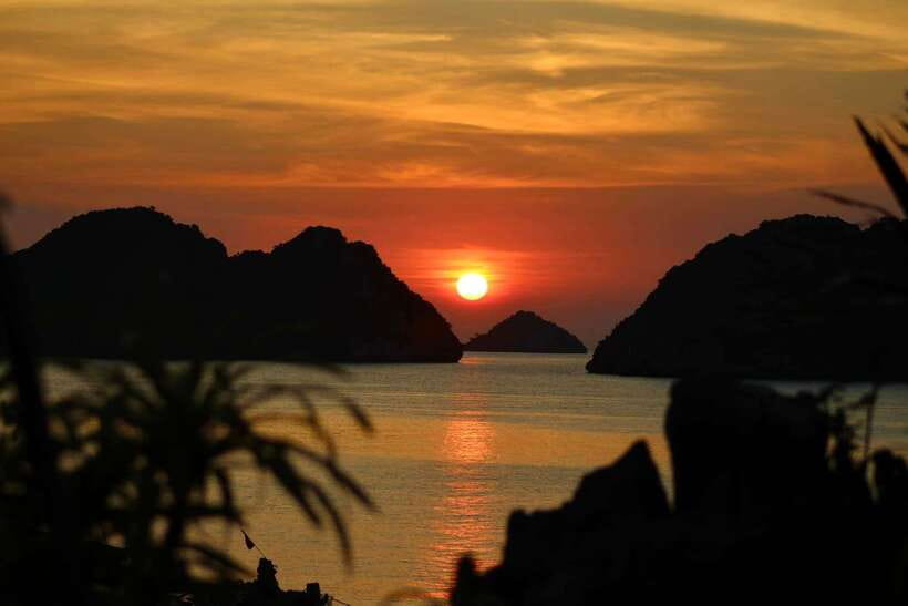 Half day Lan Ha Bay excursion ( 4 hours ): Kayaking, Snorkel - Key highlights worth your attention