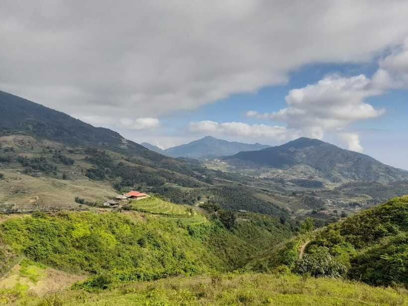 Half Day Sapa Trekking to Visit Lao Chai - Ta Van - Lao Chai Black Hmong: terraces, river-side paths, and village time