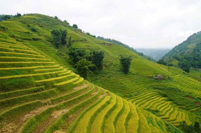 Half Day Sapa Trekking to Visit Lao Chai - Ta Van - Ta Van Dzay village: break time, photos, and craft encounters