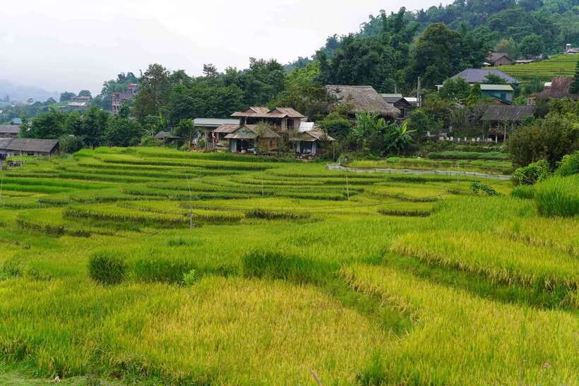 Half Day Sapa Trekking to Visit Lao Chai - Ta Van - The walk ends at Ta Van Bridge, then back to Sapa