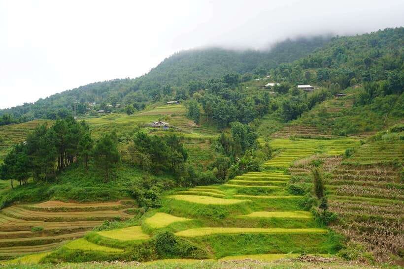 Half Day Sapa Trekking to Visit Lao Chai - Ta Van - Your guide matters, and this route is built for conversation