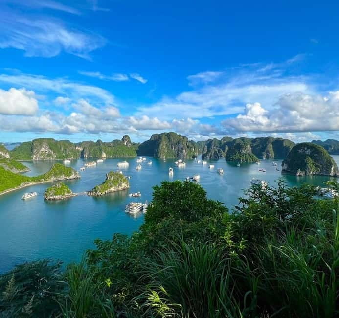 Halong 6 Hours Cruise: Kayak, Cave, Lunch, Beach & Island - Luon Cave by Kayak or Bamboo Boat: Moving Through the Blue Water
