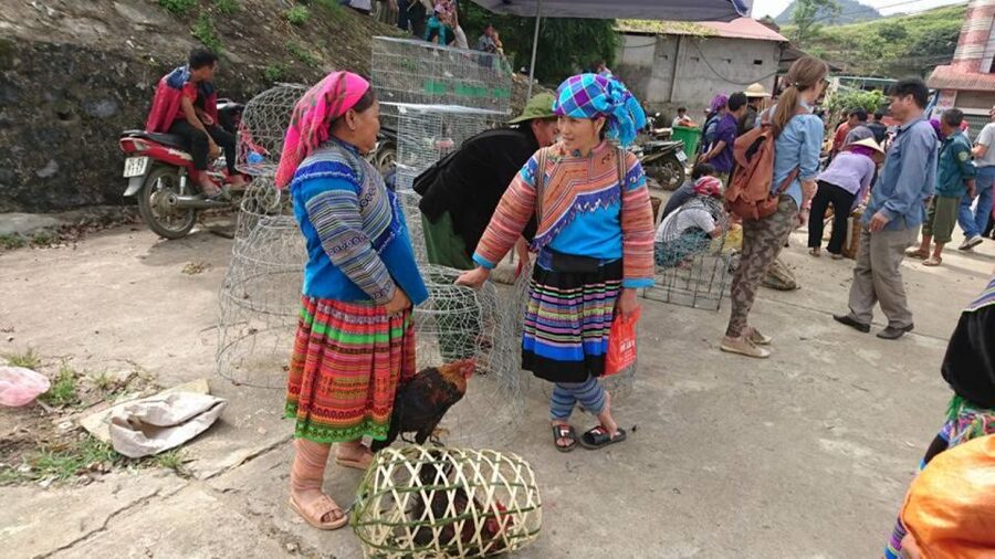 Hanoi: 2-Day Sa Pa Guided Village & Homestay Trekking Tour - Day 2: Ta Van to Giang Ta Chai, Bamboo Forest, and the Red Dzao Panorama