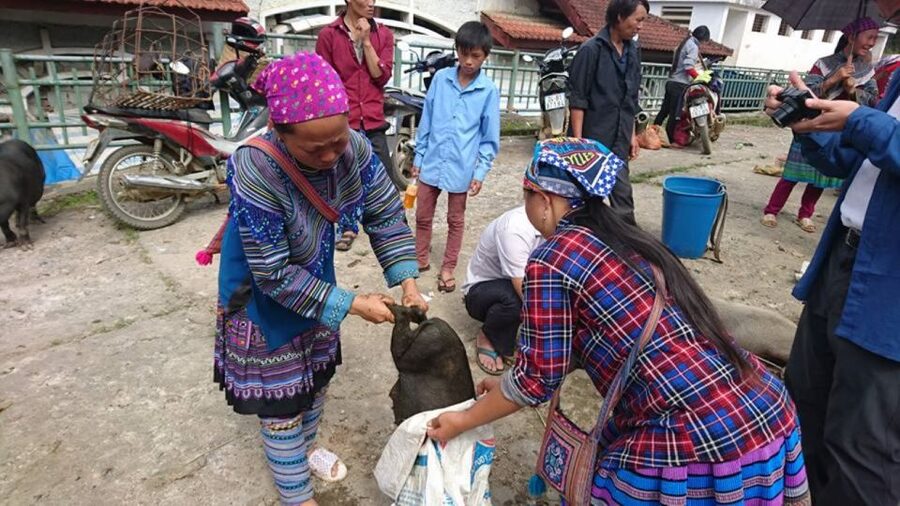 Hanoi: 2-Day Sa Pa Guided Village & Homestay Trekking Tour - How Hard Is It, Really? Distances, Rain Risk, and Footwear