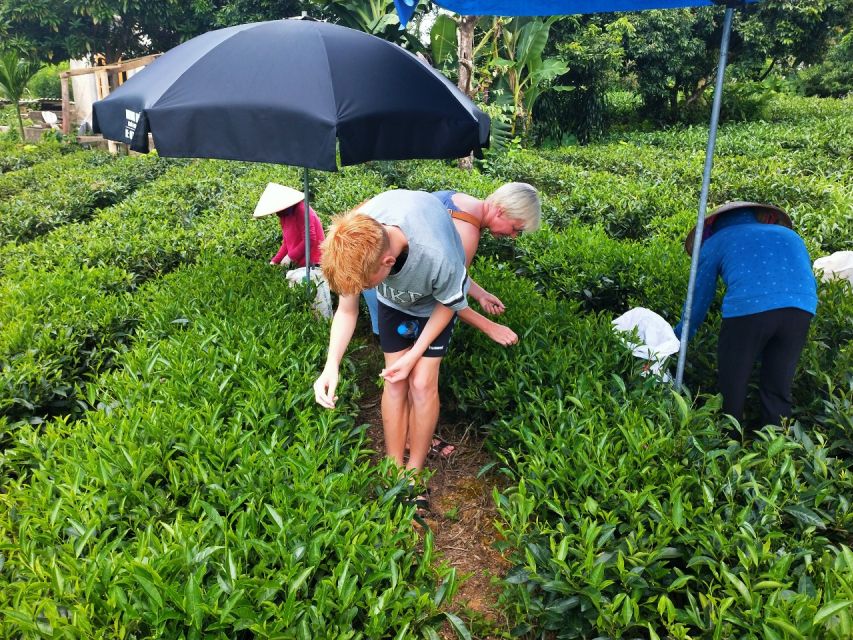 Hanoi: 3-Day Tour to Ban Gioc Waterfall and Ba Be Lake - Why this Cao Bang to Ba Be route feels different from typical Hanoi tours