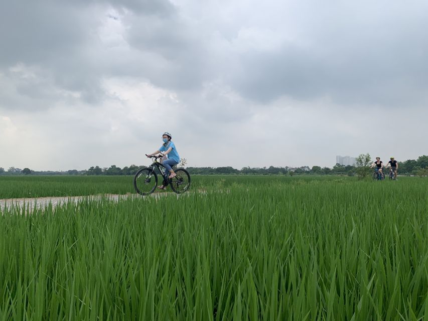 Hanoi: Bike Tour Through Hidden Gems and Banana Island - Family Home Stop: The Most Human Moment Of The Day
